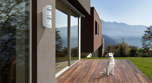 Meet MotionProtect Outdoor — an outdoor motion detector that reacts only to real threats