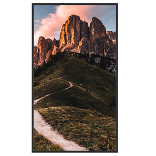 Interactive Monitors